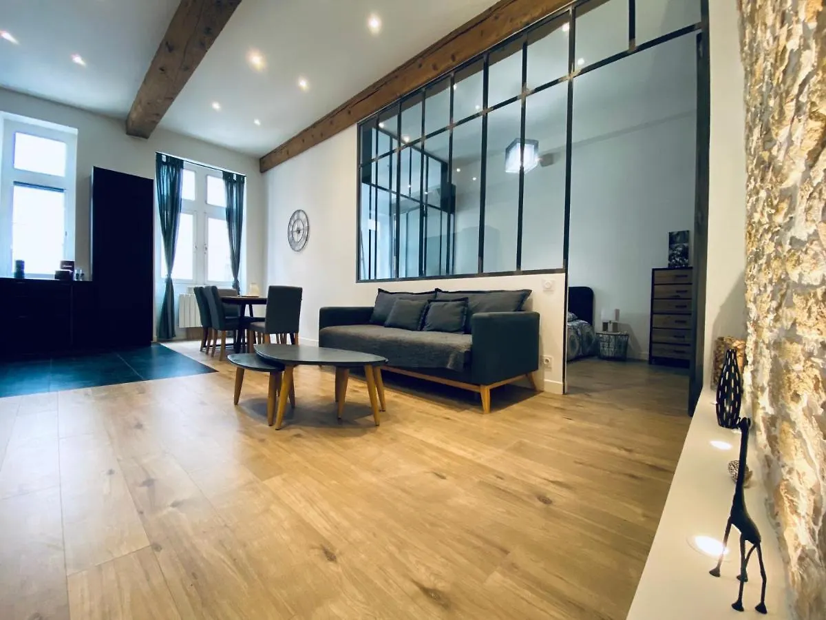 Hyper Centre : Appartement Deco Atelier Ou Studio Mezzanine Lyon 0*,
